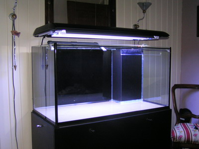 forum pic 03.jpg