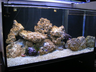 forum pic 01.jpg