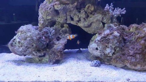 20161112_133335.jpg