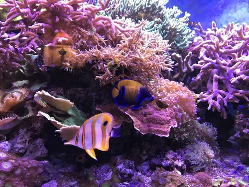 IMG_0353.JPG