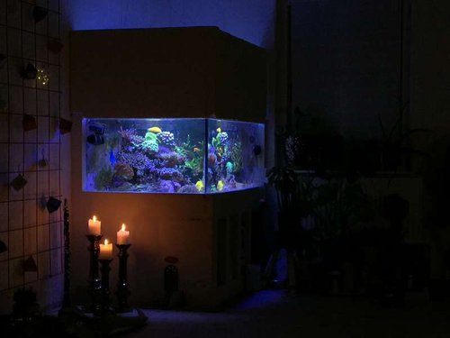 IMG_0926.JPG
