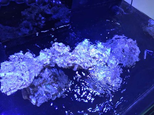 20161119_104357636_iOS.jpg