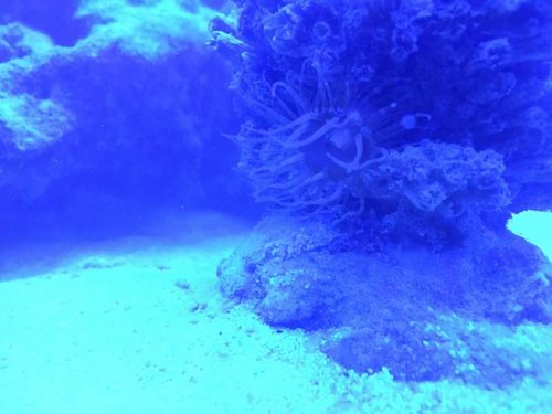 IMG_0436.JPG