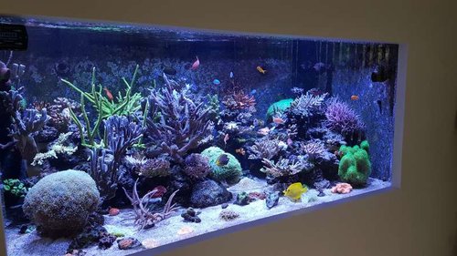 20160807_161422.jpg