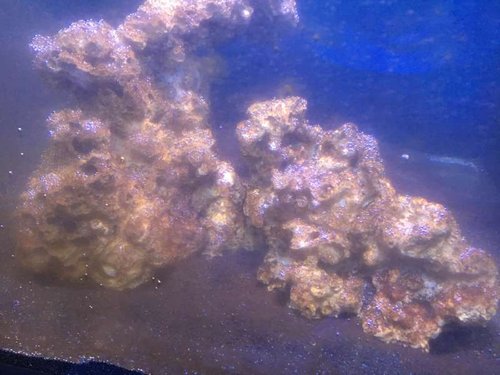 20161128_163451299_iOS.jpg
