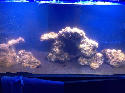 20161128_163447231_iOS.jpg