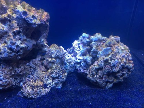 20161204_203213372_iOS.jpg