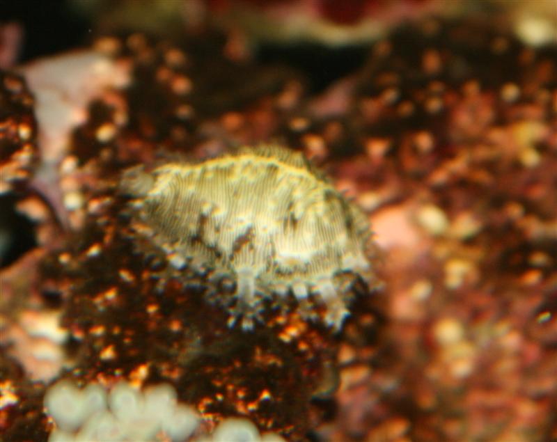 IMG_7028 (Medium).jpg