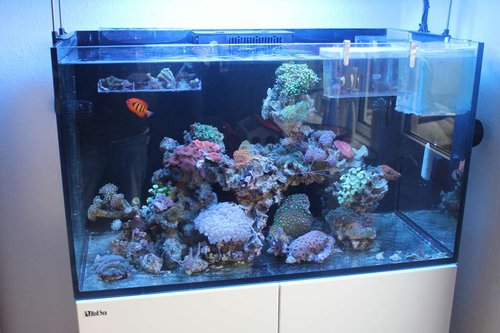 IMG_9276.JPG