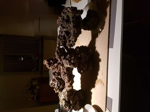20170105_031454.jpg