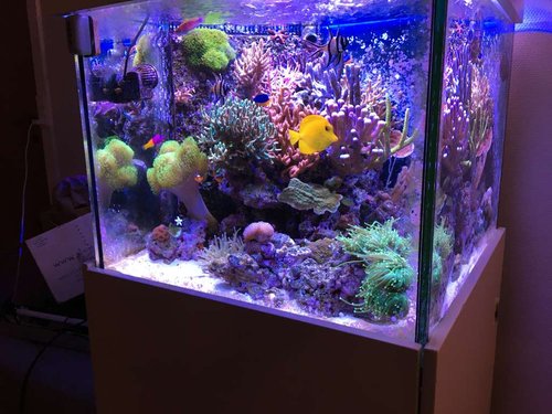 IMG_1270.JPG