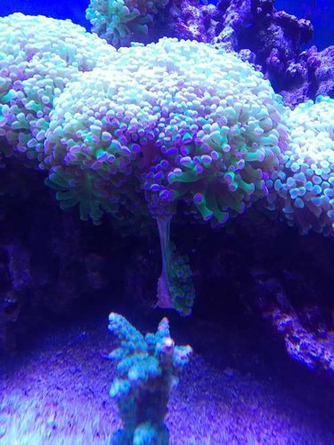 IMG_20170114_164257.jpg
