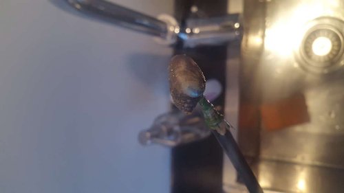 20170121_151425.jpg