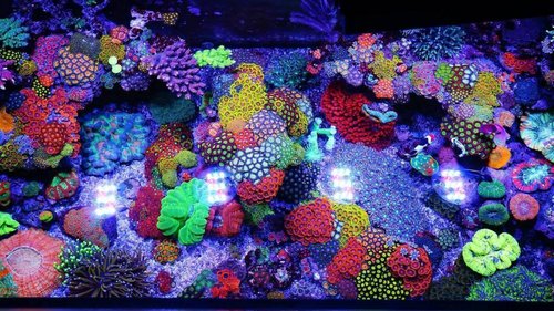 IMG_9925.JPG