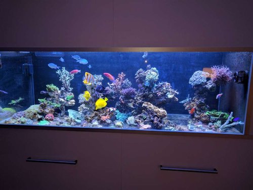 10.jpg (67.66 KiB) Vist 2264 gange 10.jpg