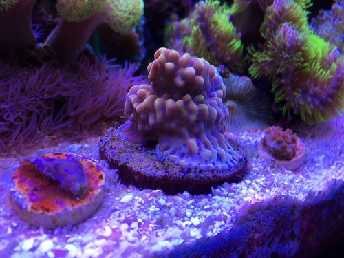 IMG_4839.JPG