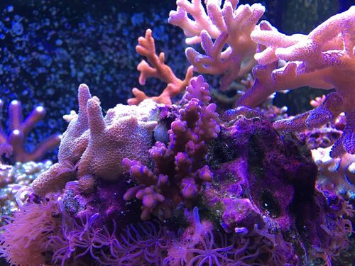 IMG_4840.JPG