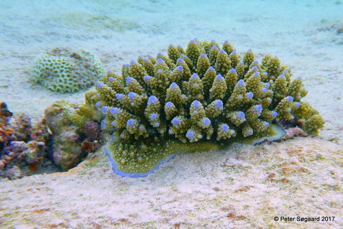23-P1040226.JPG