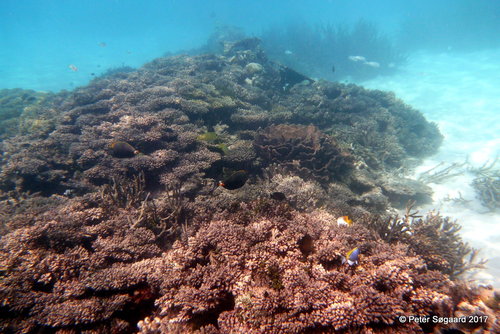 40-P1040376.JPG