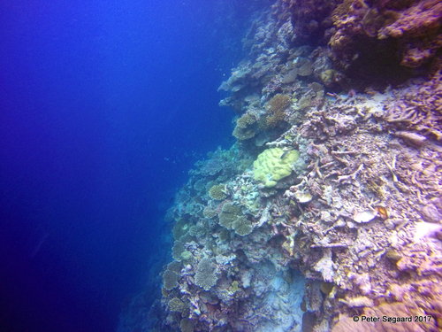 50-GOPR1162.JPG