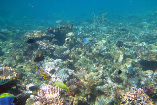 70-P1040934.JPG