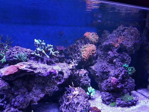 2017-02-22 20.29.40.jpg
