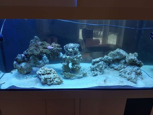 20170225_162522.jpg