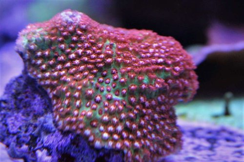 IMG_0064.jpg