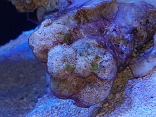 20170306_111331.jpg