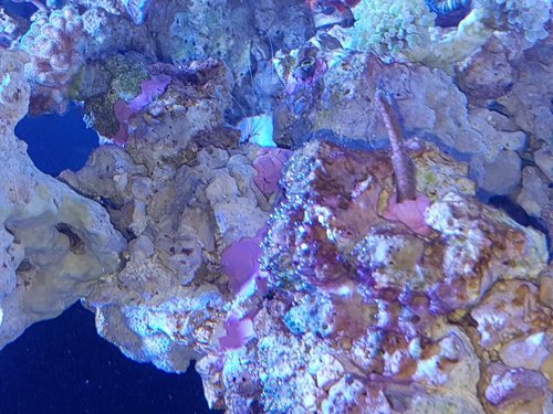 20170306_193132.jpg