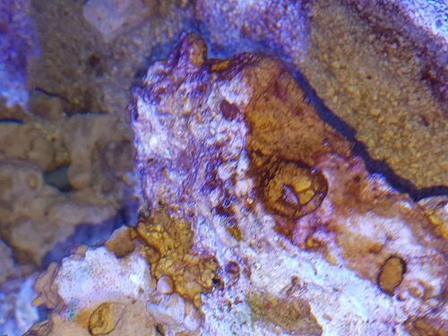 20170306_193146.jpg