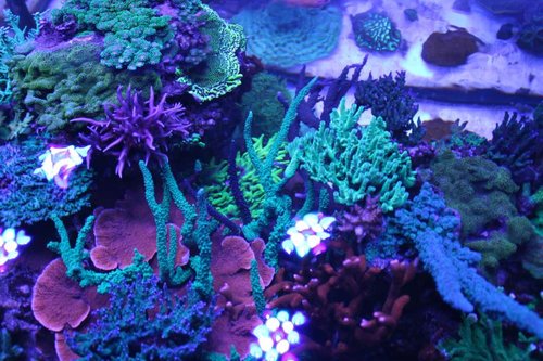 IMG_0852.JPG