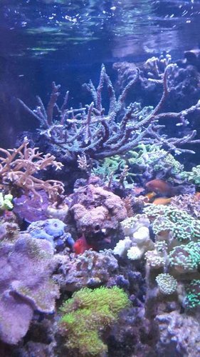 20170325_221806_resized.jpg