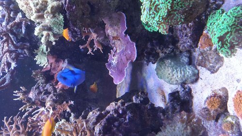 20170328_162347.jpg