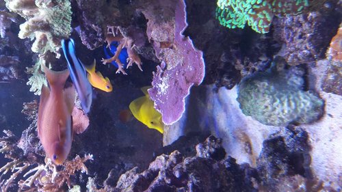20170328_162403.jpg