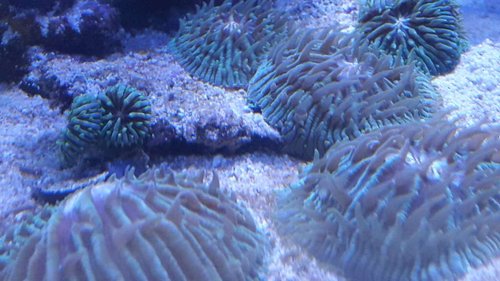 20170328_224034.jpg
