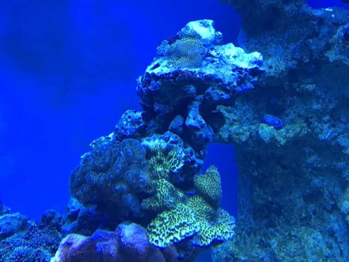 IMG_0847.JPG