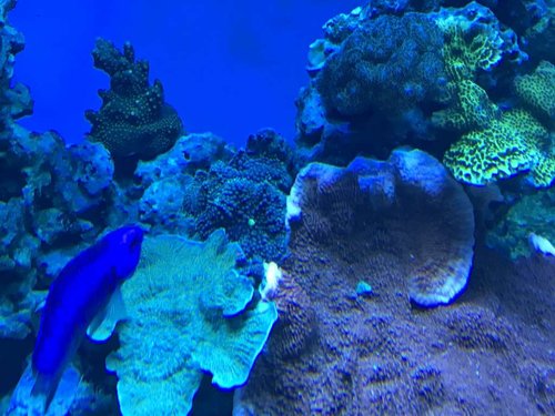 IMG_0848.JPG