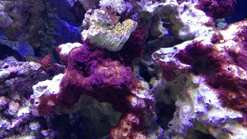 IMG_20170406_182313.jpg