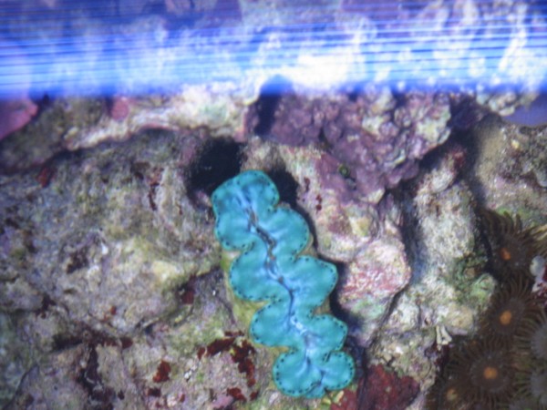 IMG_0749 (600 x 450).jpg