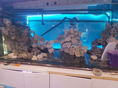 20170412_224201.jpg
