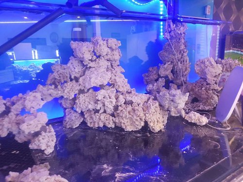 20170412_224231.jpg