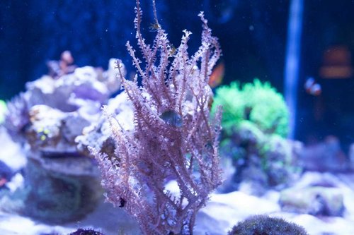 IMG_1411.JPG