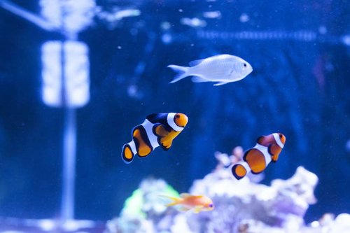 IMG_1416.JPG
