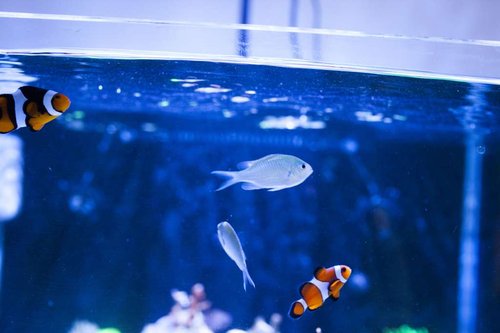 IMG_1420.JPG