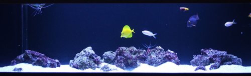 IMG_0561.JPG