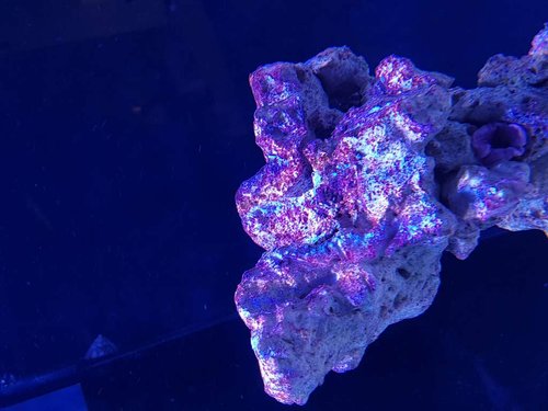 20170422_112654.jpg