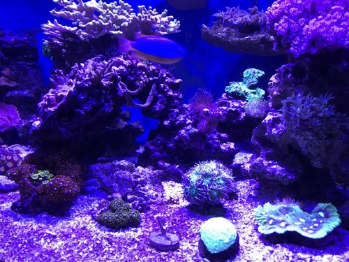 IMG_1298.JPG
