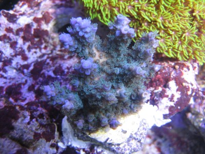 mt 789512 (400 x 300).jpg