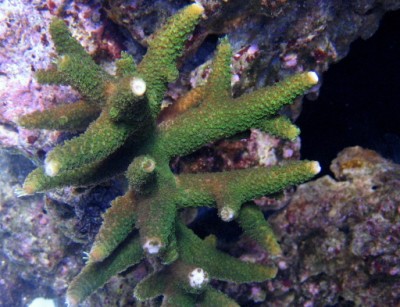 mt 789465 (400 x 307).jpg